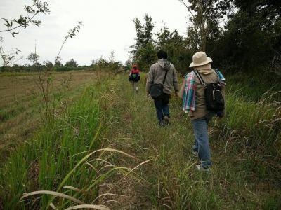 โครงการรณรงค์ส่งเสริมและสนับสนุนกิจกรรมอนุรักษ์ทรัพยากรธรรมชาติและสิ่งแวดล้อม ประจำปีงบประมาณ ๒๕๕๙