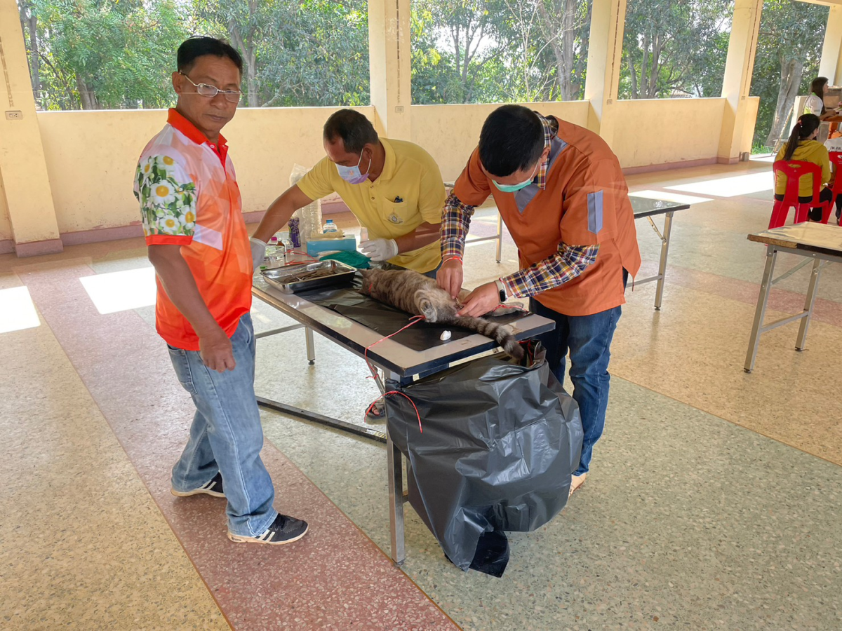โครงการสัตว์ปลอดโรค คนปลอดภัย จากโรคพิษสุนัขบ้า ตามพระปณิธาน ศาสตราจารย์ ดร.สมเด็จพระเจ้าน้องนางเธอ เจ้าฟ้าจุฬาภรณวลัยลักษณ์ อัครราชกุมารี กรมพระศรีสวางควัฒน วรขัตติยราชนารี